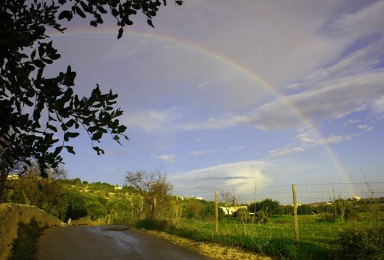 Boliqueime-rainbow Boliqueime-rainbow