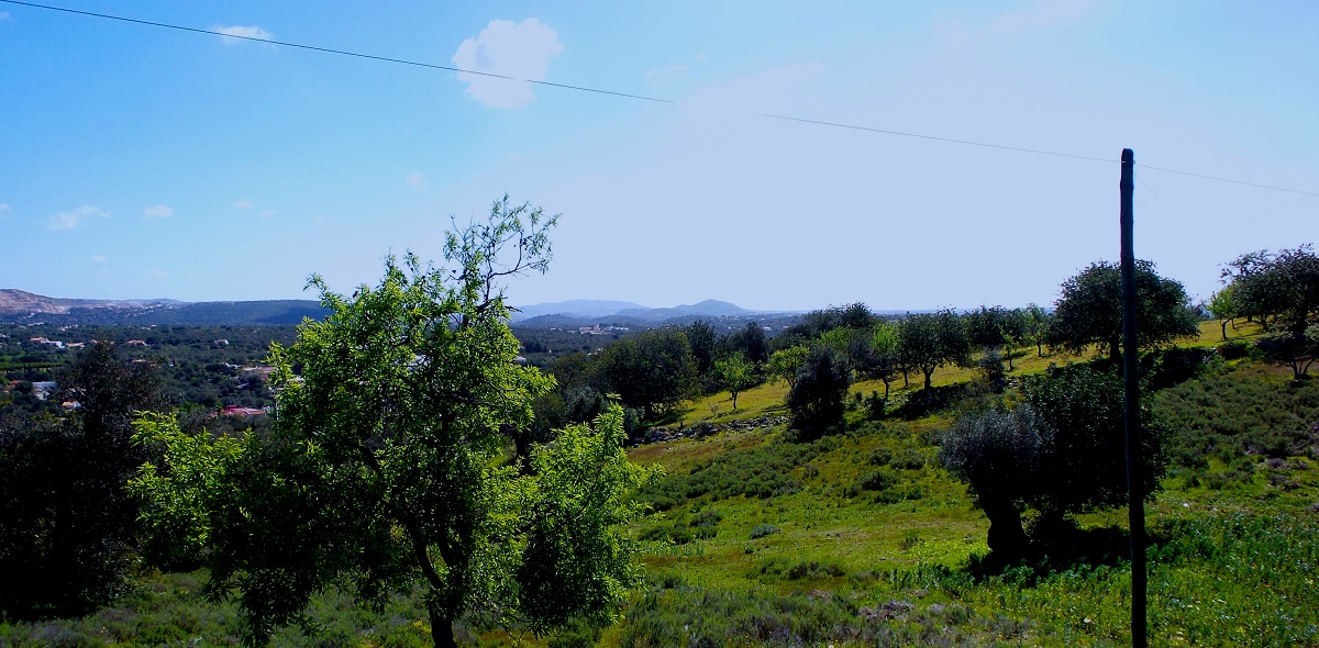 boliqueime country side boliqueime country side