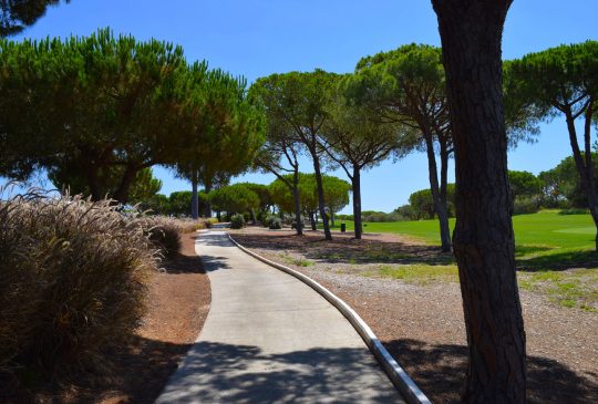 Buggy-Quinta-do-lago- Buggy-Quinta-do-lago-