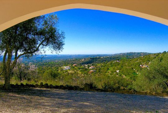 Country-view Country-view