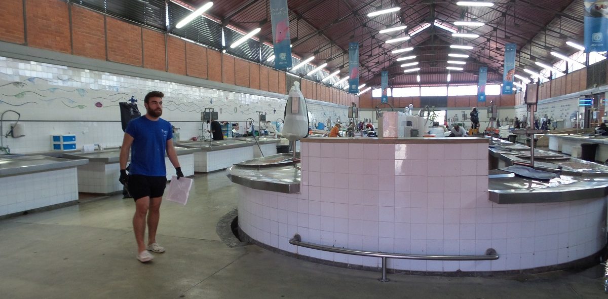 fish-market-tavira