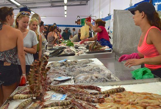 Fresh-fish Fresh-fish