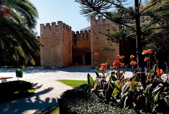 lagos-castle lagos-castle