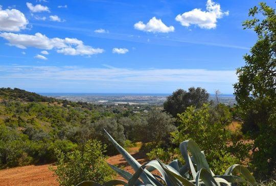 panoramic-views panoramic-views