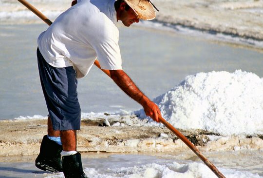 Salt-Pan-Labourer