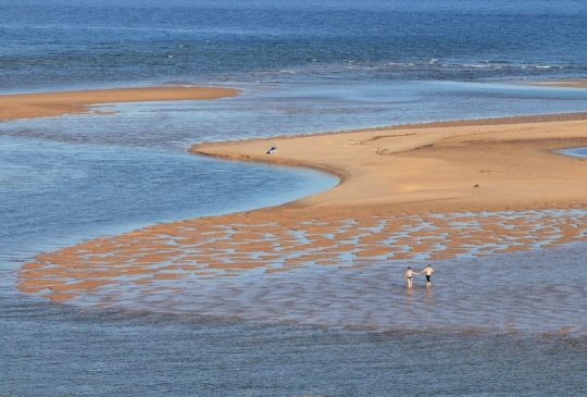 Tavira