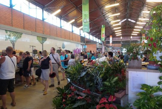 tavira-market-2