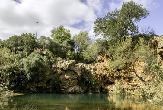 Tavira nature Tavira nature