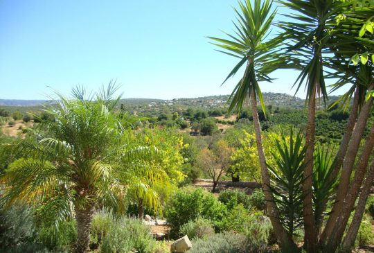 Vale-Telheiro-Loule Vale-Telheiro-Loule