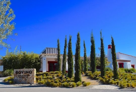 bovino2 bovino2