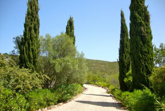 driveway-cobblestone driveway-cobblestone