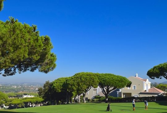 housesandgolf housesandgolf