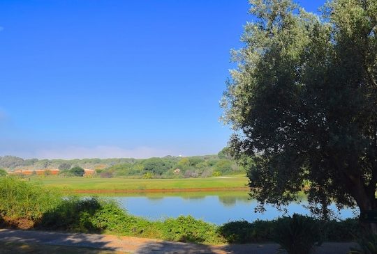 nature nature
