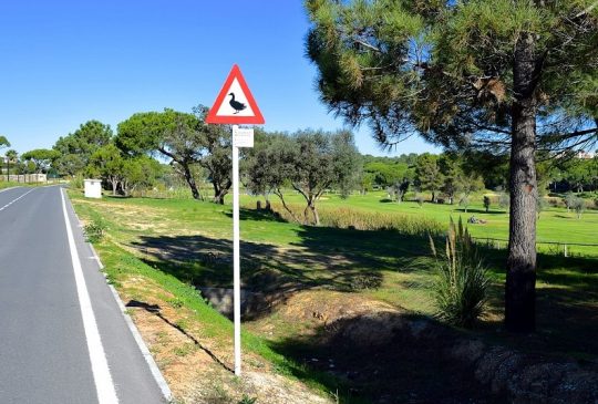 naturereserve naturereserve